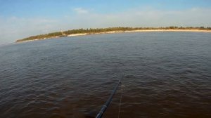 3 Уловистые приманки для ловли Жереха