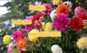 Рыбы! Гороскоп на сентябрь 2022 года!