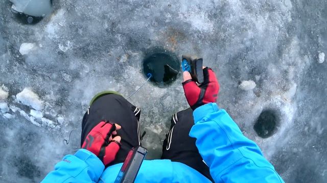 Рыбалка на гирлянду. Водохранилище Печенеги. В улове в основном подлещик. смотреть онлайн