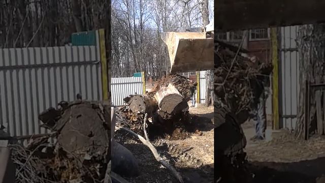 пень видео часть 2 смотреть онлайн
