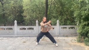 Практика Шёлковой нити. Тайцзи-цигун.
