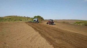 Предпосевная культивация почвы на МТЗ /Moldova