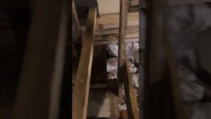 Погреб в подвале