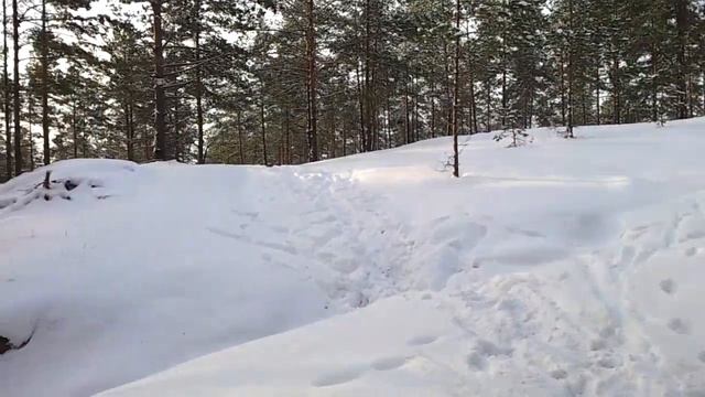 USMC Marines - поход в Garkalne в поисках конца света 2012 смотреть онлайн