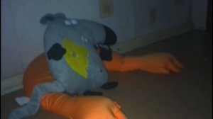 Крыса играет с котом - Кот любит крысу [funny animals]