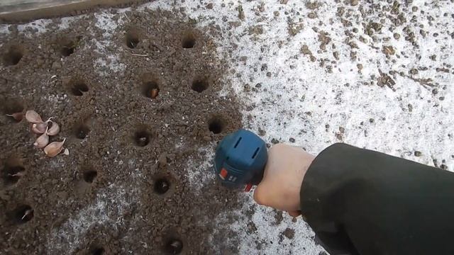 Как правильно сажать чеснок смотреть онлайн