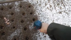 Как правильно сажать чеснок
