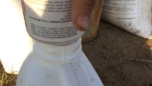 Опаздываем с обработками .Вносим гербициды на рапс 2019