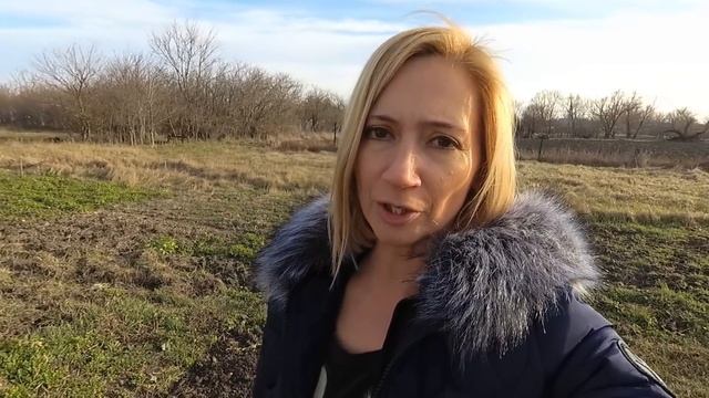 Кухня или свадьба? Пересаживаю зелень, готовим грядки смотреть онлайн