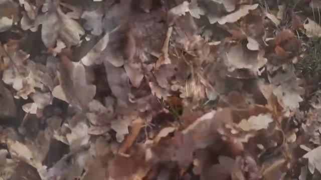 Стих. «Последний день» смотреть онлайн