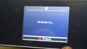 epson xp700 c установленной СНПЧ и чернилами