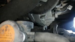 Номер двигателя посмотреть легко Nissan tiida