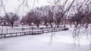 Чернушка, Пермский край — Мультимедийная выставка