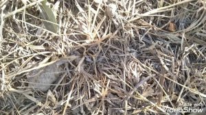 Все разбитые самолëты. Boeing 12 | Boeing 747 | Boeing 777 | Boeing 737