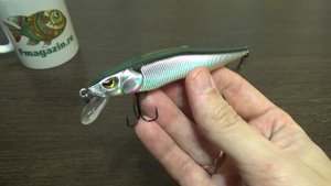 Видеообзор воблера Akara Mullet 110F по заказу Fmagazin
