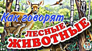 ЛЕСНЫЕ ЖИВОТНЫЕ ДЛЯ ДЕТЕЙ / Дикие животные / ЖИВОТНЫЕ РОССИИ