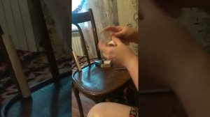 Как поставить уши шнауцеру часть 1. Подготовка