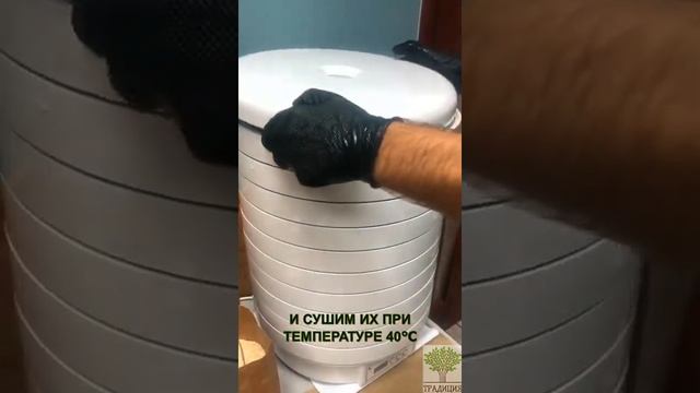 Процесс получения тыквенного масла Традиция