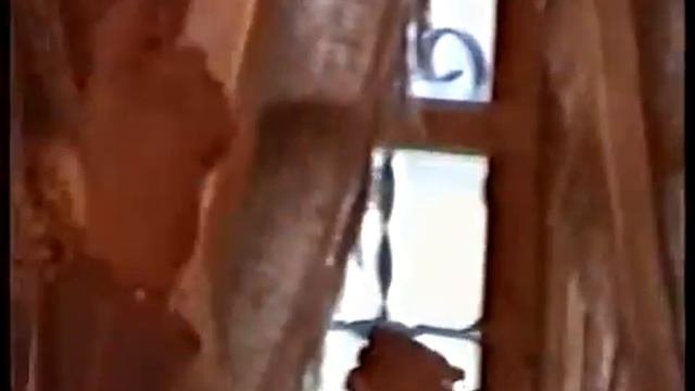 Коломенское. Школа в старорусские времена. Экскурсия 
