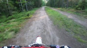 Покатушка на питбайке Daytona 190