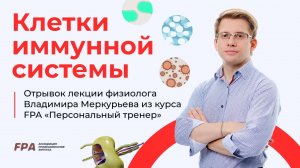 Клетки иммунной системы | Владимир Меркурьев (FPA)