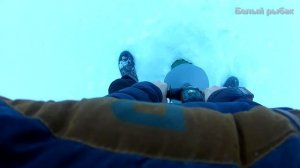 замор рыбы зимой в Московской области 2019