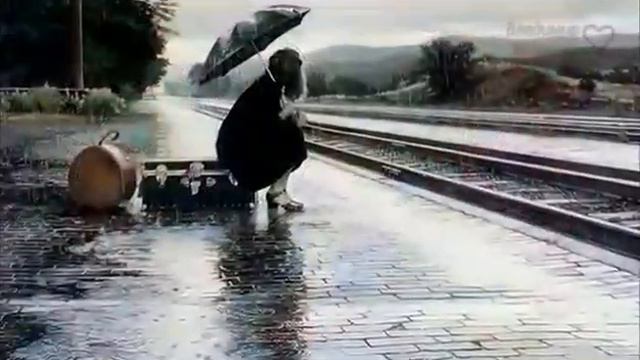 Что больше всего удивляет мудреца? смотреть онлайн