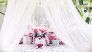 У СОФИ НЕТ ПАРНЯ! ОДНА! ДАЖЕ У ВРЕДНОГО РЕБЕНКА ЮМИ ЧУ ЕСТЬ ПАРЕНЬ ИЛАЙ, У МИШИ И ЭЙВАНА СЕМЬЯ