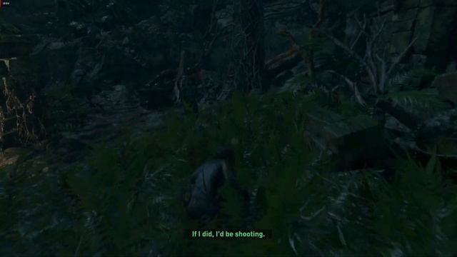 Find Jonah (Downpour, Porvenir Oil Fields) - SHADOW OF THE TOMB RAIDER смотреть онлайн