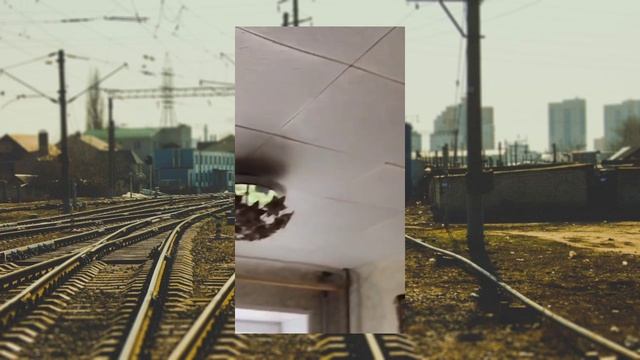 Воронеж: 20 дом по улице Березовая Роща затопило. С 5 по 1 этажи. ??