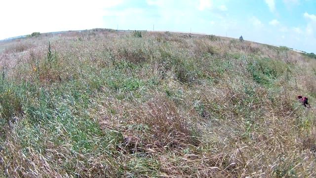 КОП МЕТАЛЛА НА СТАРОМ ФУНДАМЕНТЕ ЖЕЛЕЗО ЛИТОЕ ТЯЖЕЛОЕ///МОНЕТ МЕТАЛЛОКОП/// смотреть онлайн