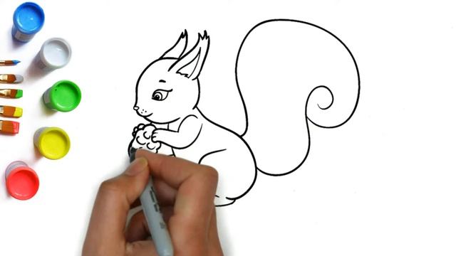 Как нарисовать белку с шишкой легко, красивые рисунки и раскраски для детей, идеи для рисования