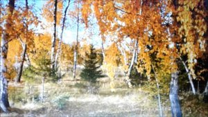 Александр Твардовский Лес осенью
