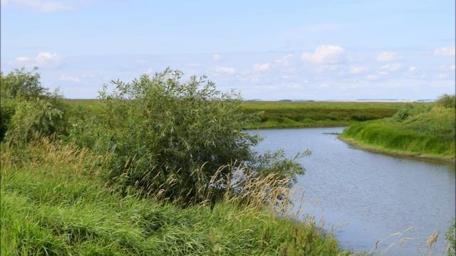 Учебка. Форст Цинна. смотреть онлайн