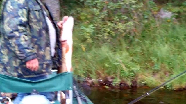 Михалыч и щука 8.1 кг. где то в Карелии... смотреть онлайн