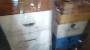 Как просто сохранить рамки от восковой моли.