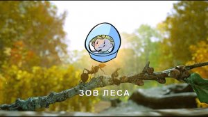 Зов леса | Летний сезон 2022