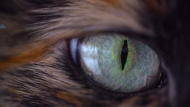 PS एडिटिंग का छोटा ट्रेलर,,छोटी फिल्म का ट्रेलर (editing) Photoshop, 2021 смотреть онлайн