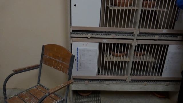 Проверка яиц 03.04.2021 П-к им. А.С.Брагина + ОГ сезон 2020 смотреть онлайн