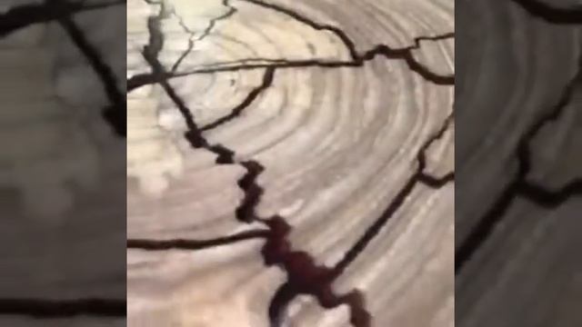 Изготовление столешницы из спила карагача со смолой