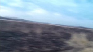 Охота на гуся 2022 Амурская область