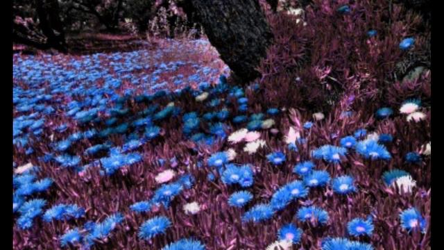 Мы на пороге грядущих событий смотреть онлайн