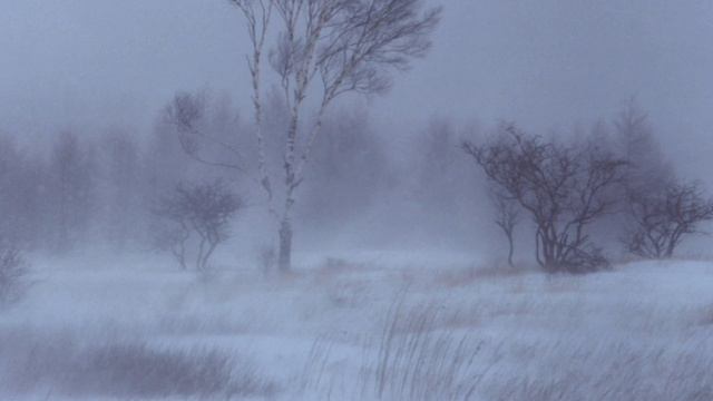 Empty-Sad Piano. смотреть онлайн