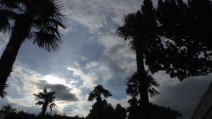 Ливадийский дворец. Ялта. Крым. Прогулка.