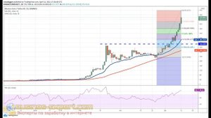 BNB (криптовалюта Binance Coin) прогноз, обзор курса, новости, анализ графика