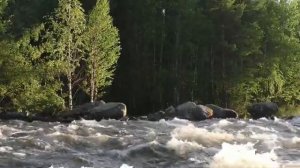 Быстрая река в лесу. Шум реки, пение птиц для отдыха,релакса,медитации. Звуки живой природы для сна