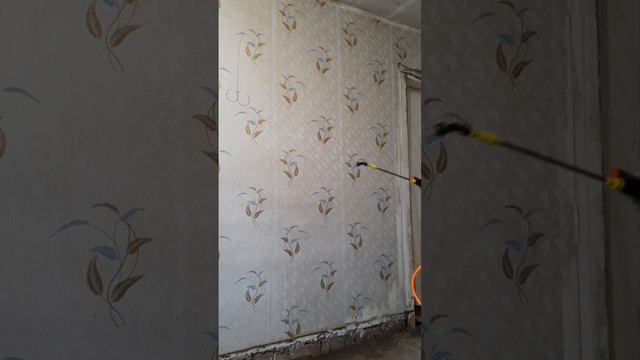 Снять обои легко..mp4 смотреть онлайн