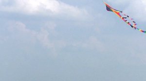 Детский, летающий Воздушный змей.