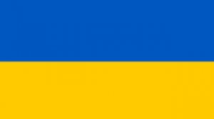 Ой у лузі червона калина (REMIX)