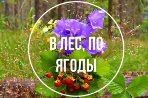 В лес, по ягоды (Валентин Вихорев)